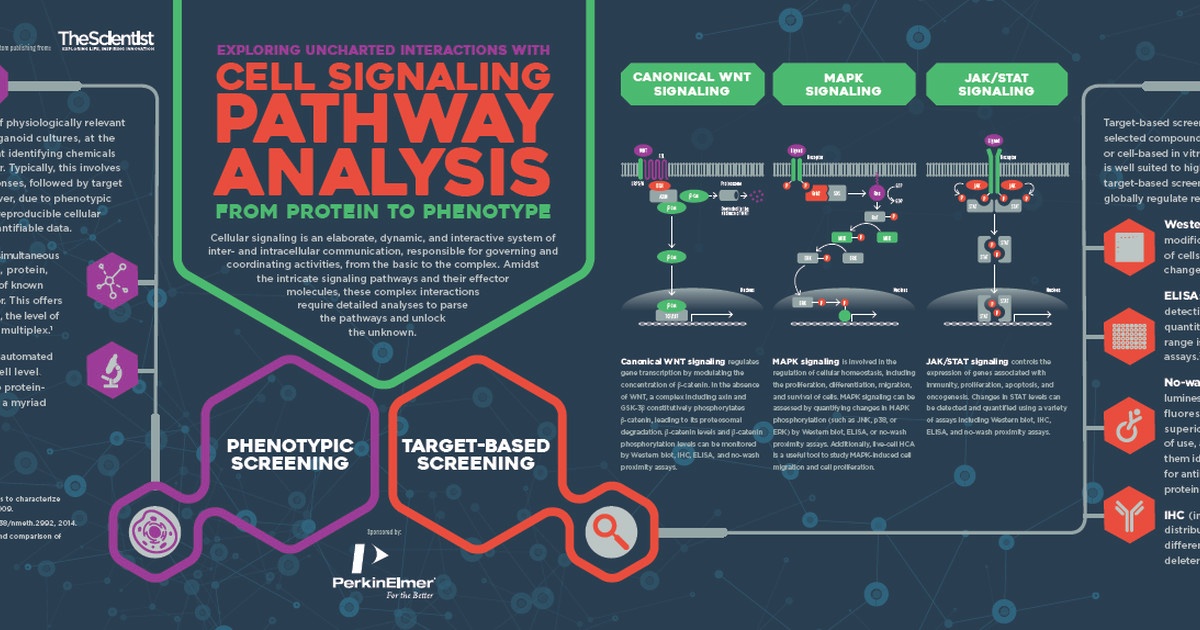 Pathway download the last version for android