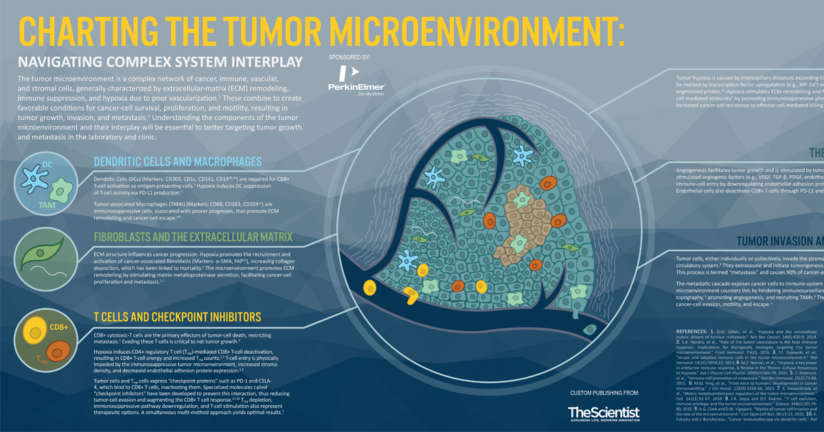 online mapping race critical approaches to health