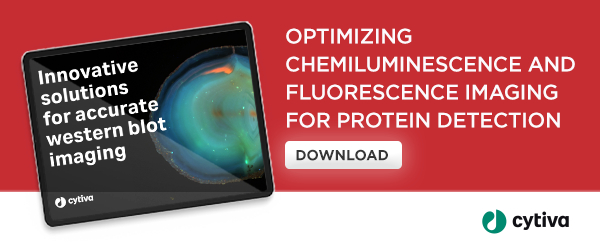 Optimizing chemiluminescence and fluorescence imaging for protein detection