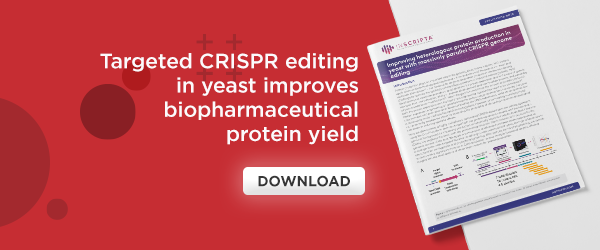 Maximize protein production in yeast with CRISPR editing
