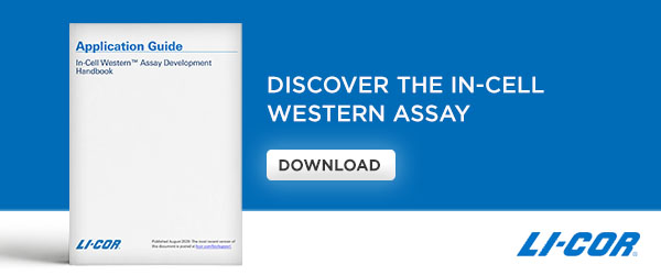 Discover the In-Cell Western Assay