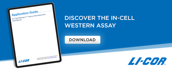 Discover the In-Cell Western Assay