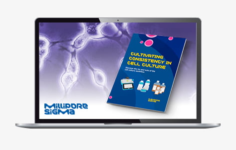 Millipore_473x300_Laptop