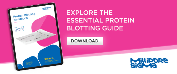 Explore the essential protein blotting guide