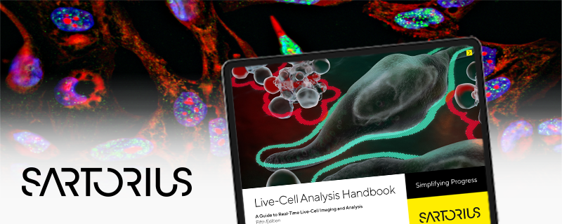A Guide to Real-Time Live-Cell Imaging