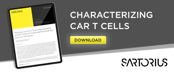 Characterizing CAR T Cells