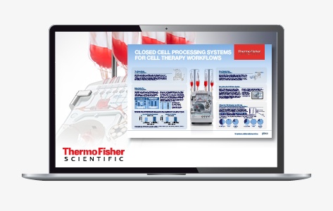 Discover how counterflow centrifugation streamlines cell therapy workflows