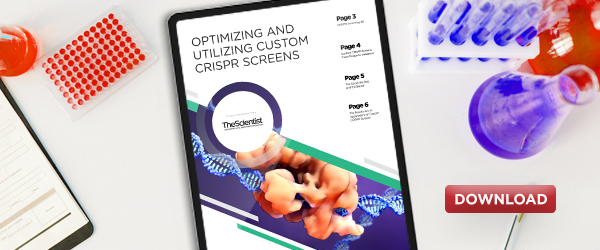 Learn how to design an efficient custom CRISPR screen