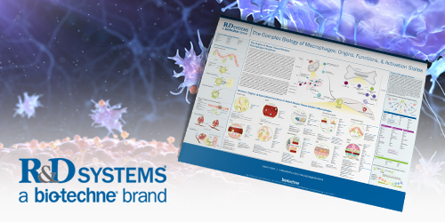 R&DSystems_500x250