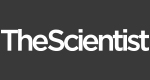 The Scientist Logo_393939