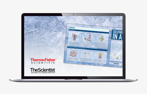 36725-Thermo-CryoToolkit-Banners-AC-Laptop