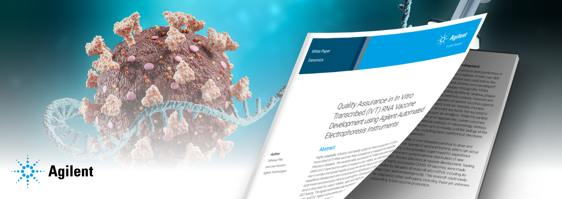 mRNA Vaccines: The Future of Medicine