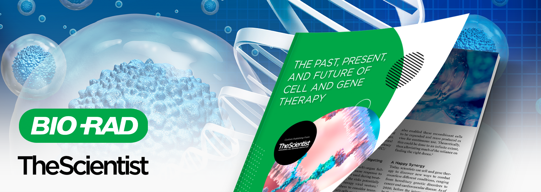 The Past, Present, and Future of Cell and Gene Therapy