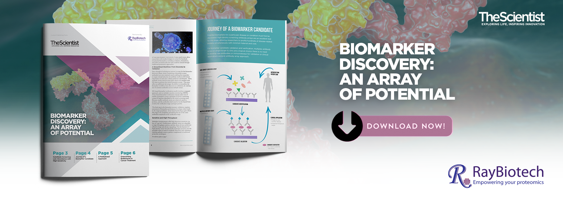 Biomarker Discovery Using Antibody Arrays