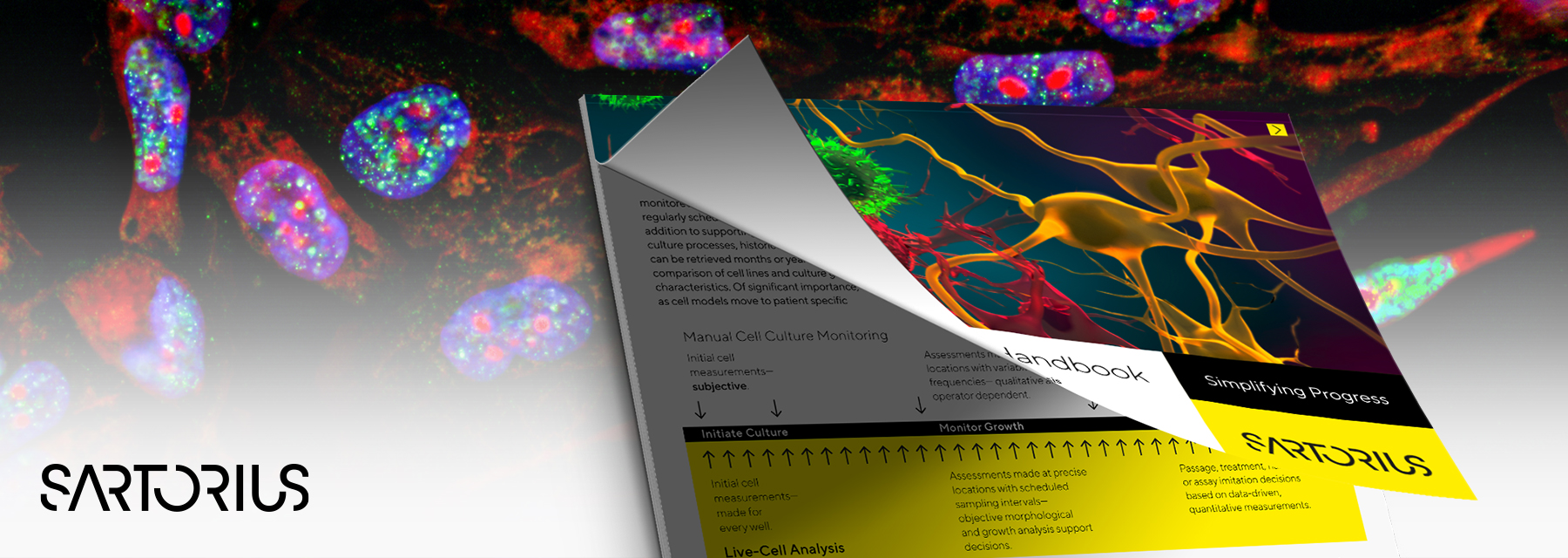 cell Imaging and Analysis Biology Diagrams