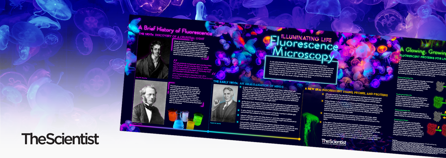 Illuminating Life: Fluorescence Microscopy